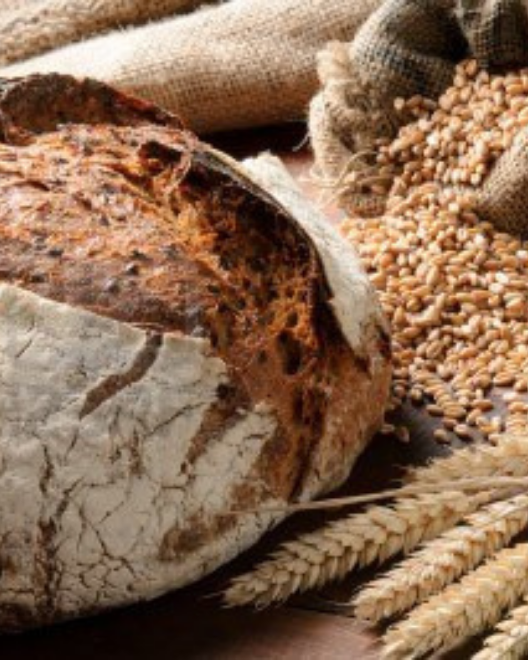 Initiation &agrave; la Boulangerie : Les bases de la boulangerie