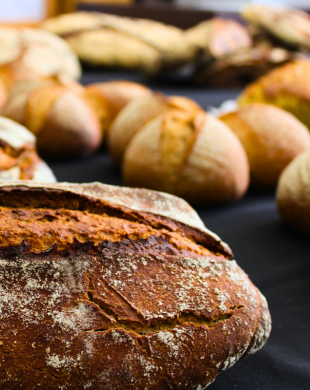 Découvrez l’Art du Levain : les bases essentielles de la naissance à la saveur