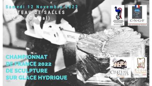 Championnat de France de Sculpture sur Glace Hydrique